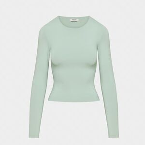 Aritzia Sage Long Sleeve Crew Neck